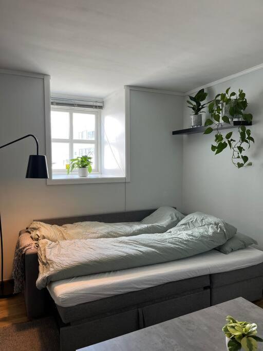 Cozy Ground Floor Apartment Tromso Luaran gambar