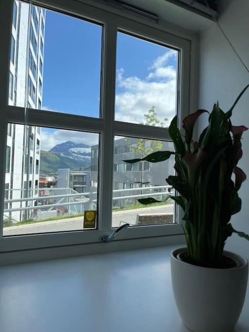 Cozy Ground Floor Apartment Tromso Luaran gambar