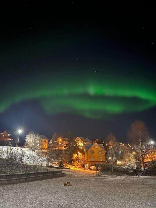 Cozy Ground Floor Apartment Tromso Luaran gambar